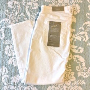 Everlane Curvy High-Rise Skinny Jean 34 Ankle